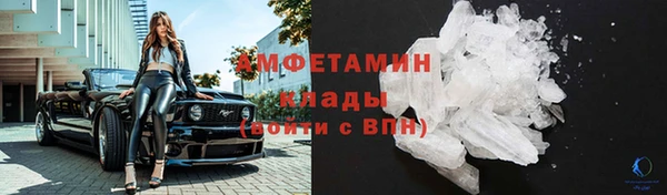 индика Михайлов