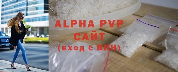 прущие грибы Белая Холуница