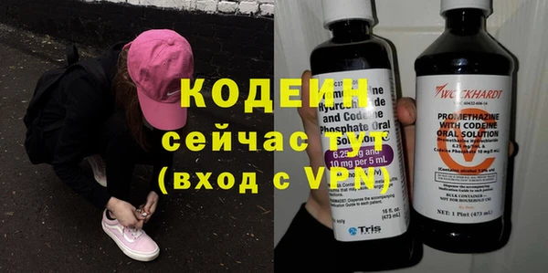индика Михайлов