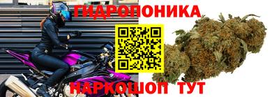 ECSTASY Краснокаменск
