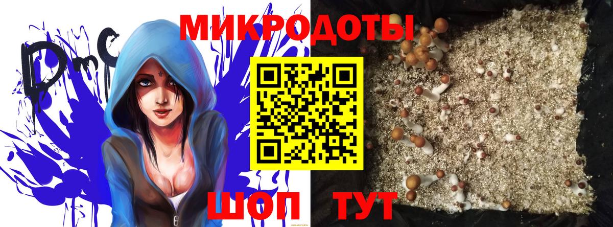 Галлюциногенные грибы Psilocybe  сколько стоит  Тюмень 
