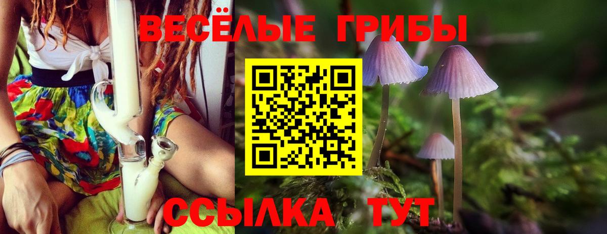 Псилоцибиновые грибы GOLDEN TEACHER  Галлюциногенные грибы MAGIC MUSHROOMS  Тюмень  Вход с VPN 
